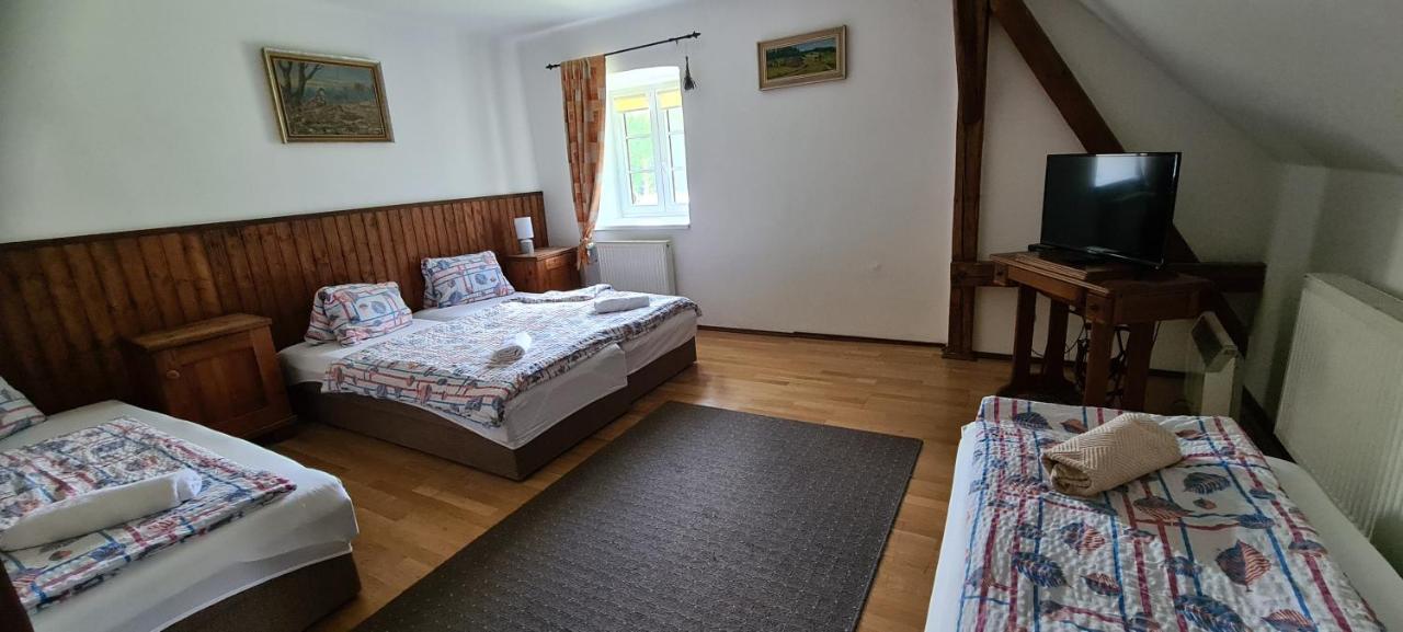 Pension Pod Lipou Loučovice Kültér fotó